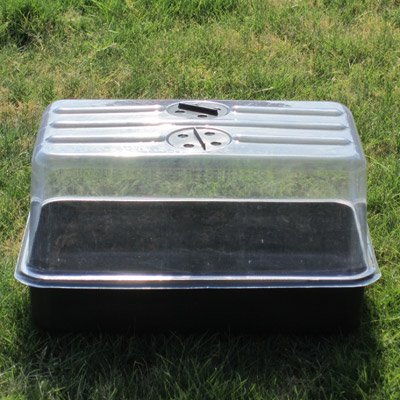 Small Plant Propagator (3 Pack) - Grow Vegetable Seedlings, Plants, Herbs, Garden Flowers and Wheatgrass indoors. Protects plants from frost, keeps plants warm and makes growing easy.