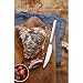 WMF Nuova Steakmesser Set 6 teilig, 23 cm, Pizzamesser aus Cromargan Edelstahl poliert, Messerset mit Wellenschliff, spülmaschinengeeignet