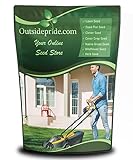 Outsidepride SPF-30 Hybrid Bluegrass Seeds - 10 lbs. Heat & Drought Tolerant, Texas Bluegrass & Kentucky Bluegrass Seed Mix for Challenging Climates, OptiGrowth Coated for Better Establishment