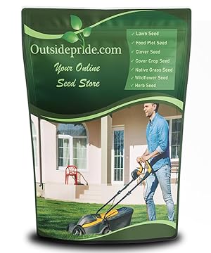 best grass seed for texas heat