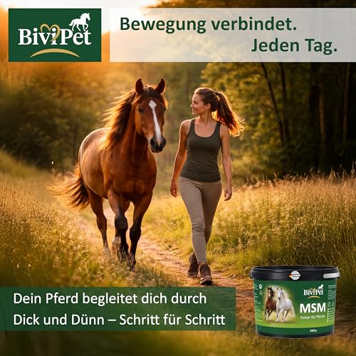 BiviPet MSM Pulver für Pferde – 1,9 kg | 100% reines MSM ohne Zusätze | Für Gelenke, Beweglichkeit, Sehnen & Hufe | Eimer mit Henkel inkl. Dosierlöffel | Made in Germany