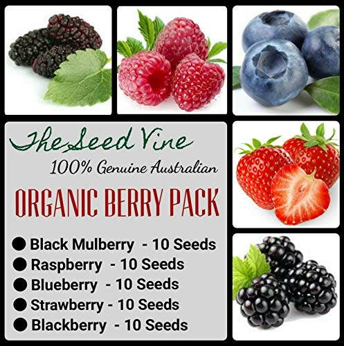 Sementi biologiche Frutti di bosco Pack (gelso lampone mirtillo nero e fragola)