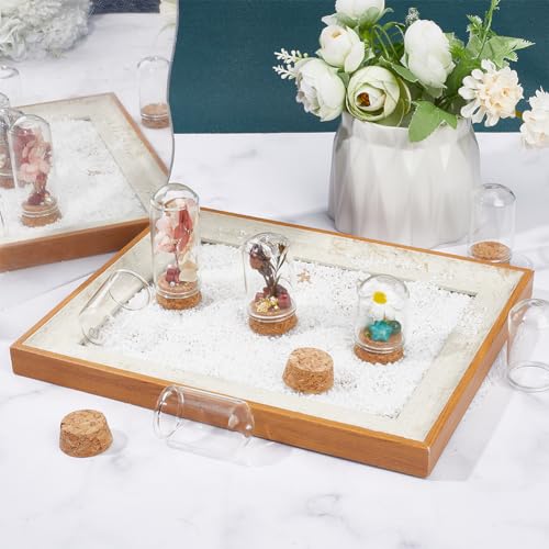 SUNNYCLUE 12Pcs Mini Cloche Glass Dome 30x70mm Dome Glass Jars with Cork Base Clear Glass Display Dome Cloche Bell Jar Small Glass Bell Jars for Flower Storage Home Christmas Party Favor Decor - Image 4