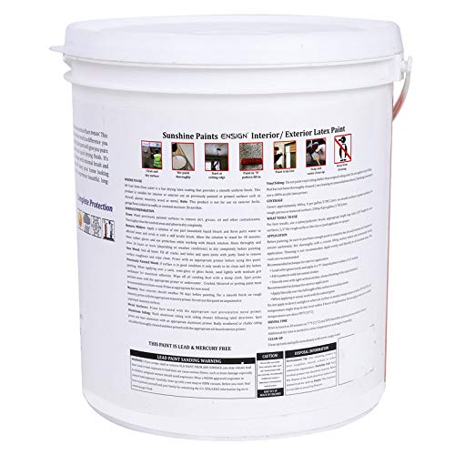 Made Product ENSIGN PAINTS Exterior Ultra Premium 100% Latex Paint, Exterior Paint, Flat Finish, 1 Quart, Eco-Friendly Paint (Neutral Base) ( WS_T_EP_06_4 Ltr_Orange 1121) 1