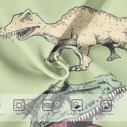 Wusikd Dinosaurs Vintage Boys' Underwear Cotton Sharp Teeth Boys Briefs Soft Toddler Underwear 2T3