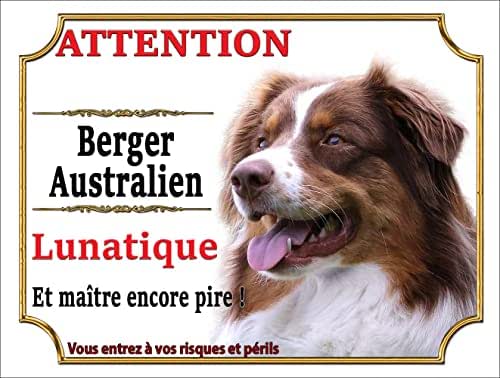 Plaque humour de danger Attention au Chien lunatique - panneau humour