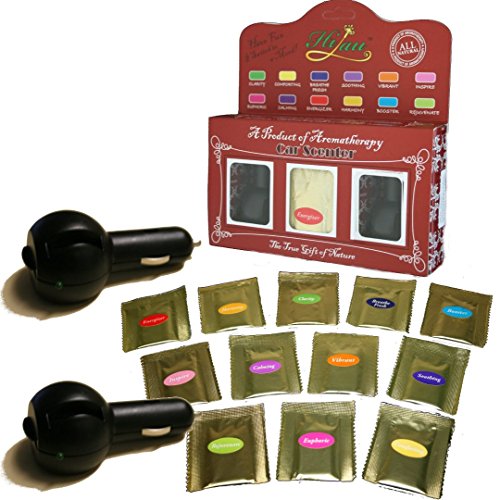 Natural Car Air Freshener - 12 Aromatherapy Blends of 100% Pure Essential Oils (Sandalwood Rosewood, Lavender Ylang Ylang, Vanilla Cinnamon, Organic Peppermint, Organic Lavender), Includes 2 Diffusers