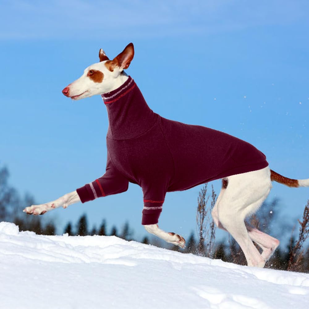 Suéter para perro de galgo, abrigo italiano para perros pequeños, sudadera de punto elástico con cuello alto, talla XS