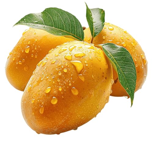 Mango Seeds for Planting, Premium Quality Tropical Fruit Seeds