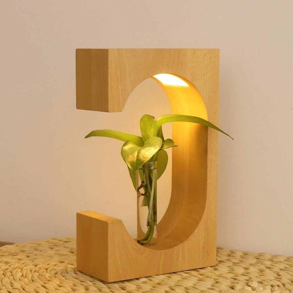 Lampada da tavolo Piccola luce notturna creativa, regalo semplice, lampada da scrivania con pianta ornamentale Lampade per la camera da letto