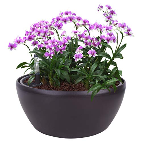 Vencer 11 Inch Plastic Round Self Watering Planter,Water Indicator,Modern Decorative Planter Pot for All House Plants Flowers, Herbs, Vegetables, Tropical,Coffee,VF-048BL