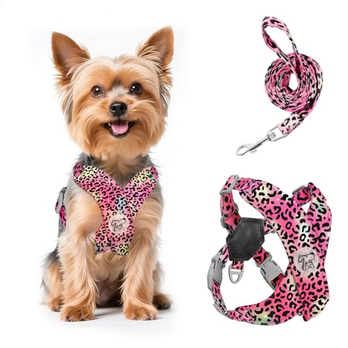 Pawaboo Set di Pettorina e Guinzaglio per Cani, Imbracatura Cani Traspirante Senza Tirare Gilet per Canis di Piccola e Media Taglia Pettorina di Sicurezza con Strisce Riflettenti, XS, Leopardo Magenta
