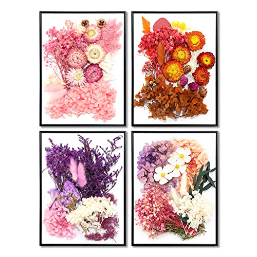 iDattel Natürliche Getrocknete Blumen,Blumen Natürliche Gemischte,DIY Natürliche Getrocknet Blumen Set für Kunst Basteln DIY Harz Scrapbooking Handwerk Karten Machen（Rosa weiße）
