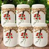 Honeydak 6 Pcs Frosted Mason Jars 17 oz glass Table Centerpiece Glass Mason Jars with Berry Wedding Farmhouse Rustic Mason Canning Jar for winter Wedding Home