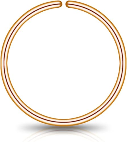 Miniatura 26 de LUCKYJEWUS Small Thin Gold or Sterling Silver Nose Ring Hoop for Women, Tiny Nose Piercing jewelry