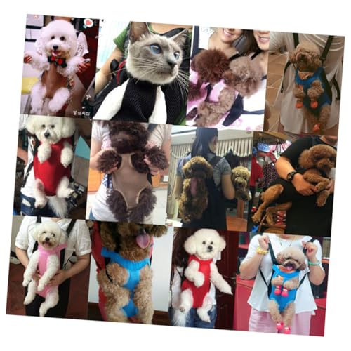 YARNOW ybgpobNpbN ߉\ȃXgbvt tgLA݌v roΉ ʋCGAbVf yʐ݌v U TCNO AEghAsp  LΉ