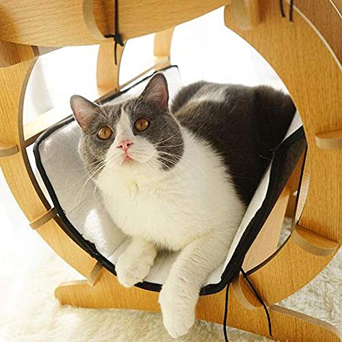 Mobilier pour chat d'exception avec double plateforme et roue 55x45
