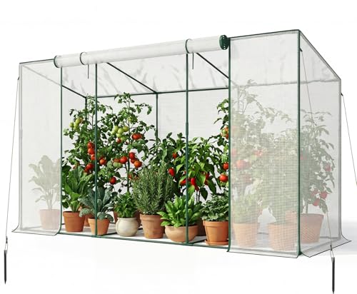 SUNYRISY Tomaten Gewächshaus Klein Foliengewächshaus 300x100x170 cm, Tomatenhaus Tomatenzelt mit...