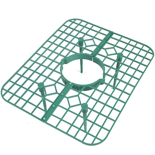HavenDomicile 10-teiliges Erdbeer-Anzuchtregal-Set, dreidimensionales quadratisches Topftablett, System für effiziente Raumnutzung und besseres Pflanzenwachstum (grün)