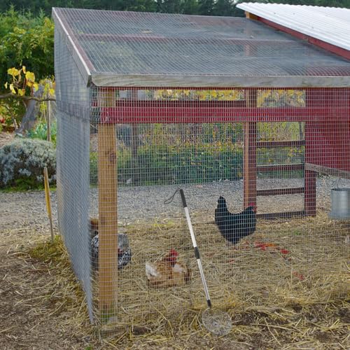 Pince à œufs de poule en acier avec manche télescopique antidérapant robuste