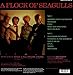 A Flock of Seagulls