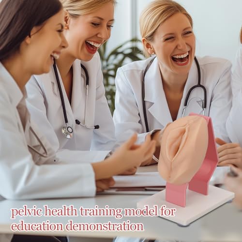 Mededuquest MEQ07008 Pelvic Health Model, Vaginal Training Model For Science Education, Gynecological Examination Anatomical Model thumb #5