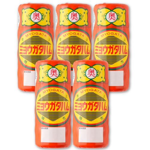 n 5{Zbg Y ؓ n Mtg p ^pbN ܂  O Zbg