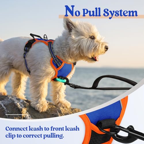 rabbitgoo Dog Harness No Pull with 2 Leash Clips, Adjustable Soft Padded, Reflective Oxford No Choke Pet Vest with Easy Control Handle for Puppy, Blue & Orange, XS - Thumbnail 5
