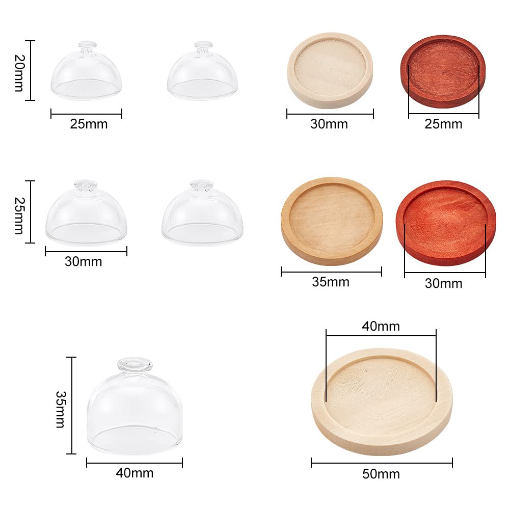 DELORIGIN 5 Pcs Mini Top Knob Glass Dome Cover Display Glass Dome with 5 Sizes Wooden Base Decorative Display Case for DIY Preserved Gift Home Decoration Centerpieces Plants Rocks Specimens Crafts