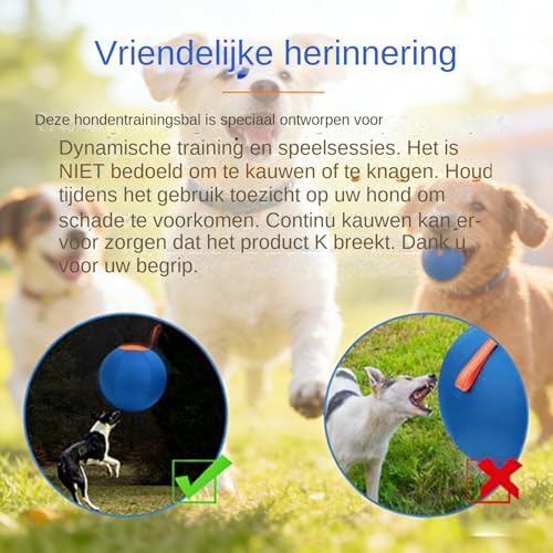 Ballon de berger gonflable et résistant pour grand chien - 6