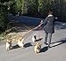Triple Dog Leash Handle, 3 Way Dog Coupler Multi-Leash UTurn Handle with which you can walk 3 dogs on 3 leashes and untangle in seconds. Black.