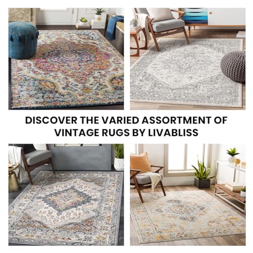 Livabliss Rabat Vintage Rug - Area Rugs Living Room 200x274 cm, Dining Floor, Kitchen, Traditional Multicoloured Boho Rug, Easy Care Pile, Bohemian Large , Fuchsia, Orange and Blue