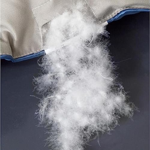 Edredón de invierno King de plumón alternativo premium con tejido de algodón 6