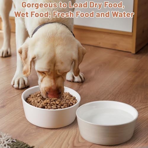 Dog Bowls, Non Slip Ceramic Dog Food and Water Bowl with Silicone Base, Heavy Weighted Pet Feeding Bowl for Cats, Puppoes and Small Dogs (Light Grey-2 Pack, 6 Inches) - Image 6