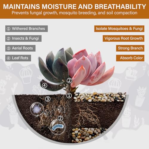 Image of NUPICK 12lb River Rocks for Plants Indoor, 3 /8 Inch Mixed Pebbles for Vase Fillers, Decorative Pea Gravel for Fish Tank, Natural Polished Stones for Succulent, Bonsai, Landscaping, Bird Baths