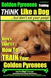 Golden Pyrenees Training | Think Like a Dog, But Don’t Eat Your Poop! |: Here's EXACTLY How To TRAIN Your Golden Pyrenees