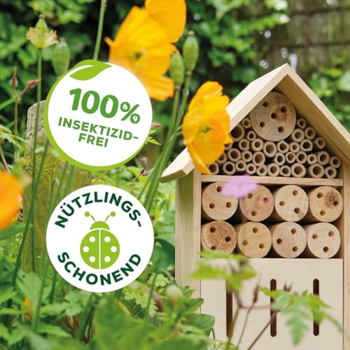 Solabiol Bosso Zuensler Della Trappola Insetto Repellente All' Aperto, Incolore, 14 X 14 X 12 Cm - 6