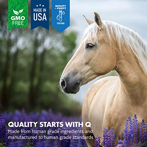 Healthygut™ Probiotics For Horses Dietary Supplement, All-Natural Digestive System Maintenance Formula (30 Days) #TOP2