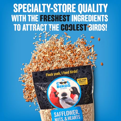 Cool-Birds-Safflower-Nuts-Hearts-Wild-Bird-Seed--10-lb-Gourmet-Bird-Food-with-Safflower-Sunflower-Hearts-Peanuts--No-Corn-Milo-or-Millet-No-Waste-Bird-Food-for-Outside-Feeders