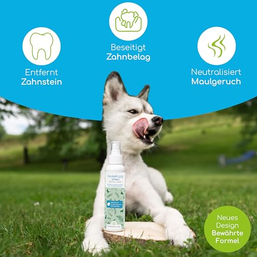 Wolfsbacher Natur Zahnsteinentferner für Hunde und Katzen – Natürliche Zahnreinigung ohne Bürsten - Löst Zahnstein, verleiht frischen Atem – Dentalspray mit Minze und 100% pflanzlichen Wirkstoffen