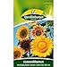 Produktbild Quedlinburger Bunte Sonnenblumen, 1 Tüte Samen