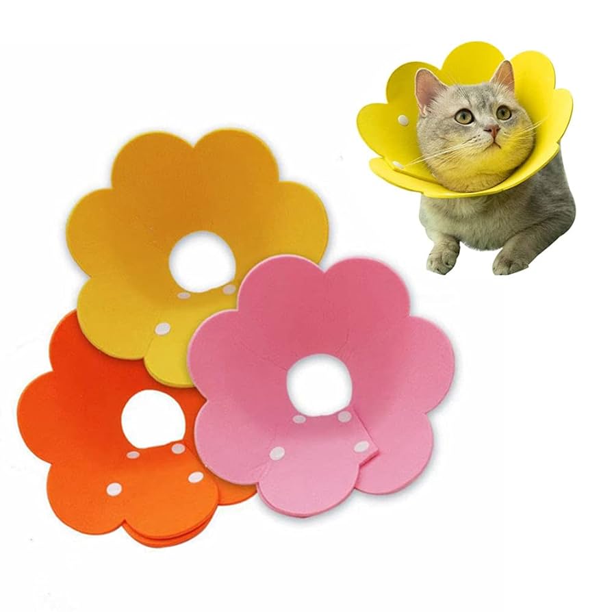 エリザベスカラー 猫 犬 COTOREAL ペット用品 傷口保護 傷舐め防止 61Fxr-aHSjS._UF350,350_QL80_.jpg