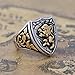 Zovivi Silver Cool Gothic Lion Sheild Stainless Steel Mens Womens King Crown Ring