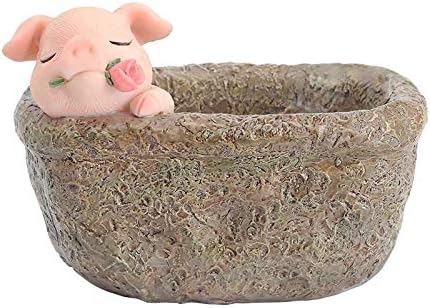 Youfui Home Decor Pot, Succulent Planter Flowerpot Decor for Home Office Desk (Rose Pig) - Image 5