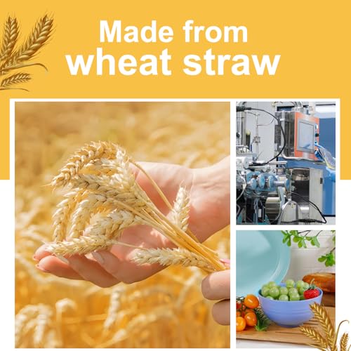 45% Off Wheat Straw Dishware Set for 4 - $10.99 - Image 4