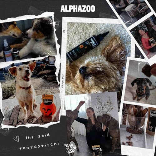 alphazoo Spielfreude Tabletten für Hunde 75g - Ergänzungsfuttermittel mit Glucosamin, Chondroitin - Muschelfleischmehl, Teufelskralle, Weidenrinde - für Bewegungsapparat & Gelenke - Made in Germany