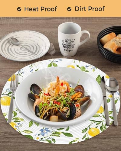 Set of 2 Round Braided Lemon Placemats - 15 Inch Washable Table Mats for Summer Dining Decor