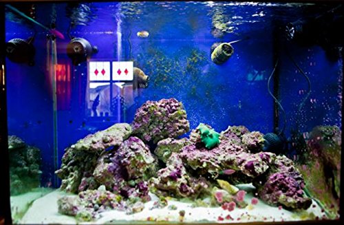 Aquarium with SOBO WP-800M Super Wave Maker installed