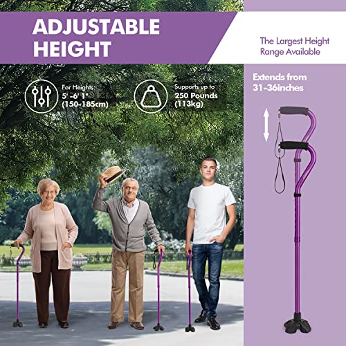 KINGGEAR Walking Cane for Women and Men, Lightweight and Sturdy Offset