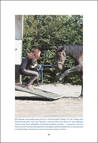 Übungsbuch Verladetraining